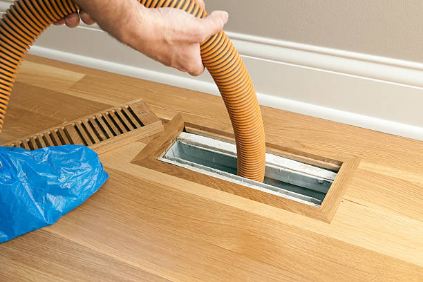 Best Local Air Duct Cleaning Services  in Golden Shores, AZ